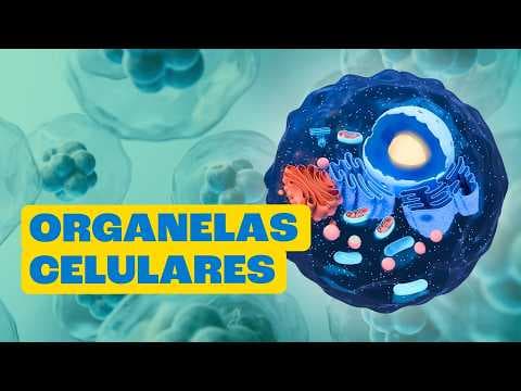 Thumbnail da aula: Por Dentro da Célula: A Menor Fábrica do Mundo