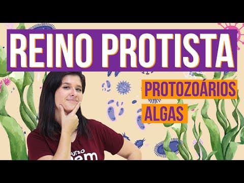 Thumbnail da aula: REINO PROTISTA E SUAS CARACTERÍSTICAS | Resumo de Biologia para o Enem