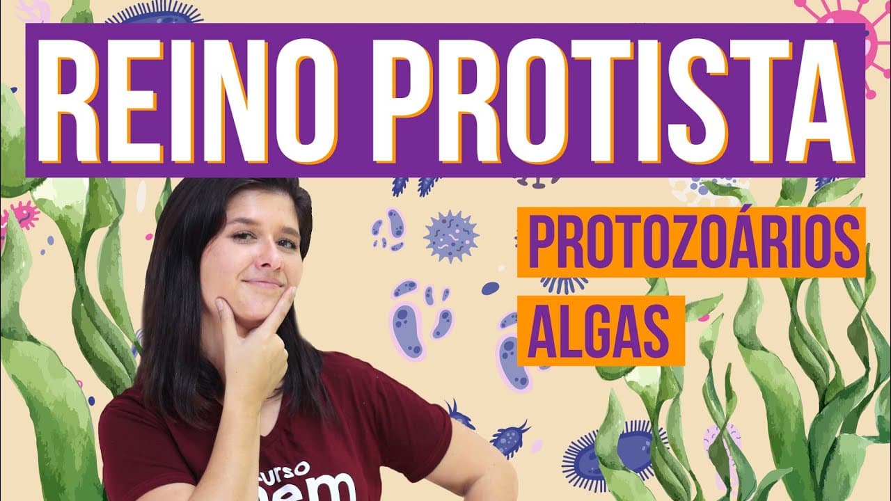 Thumbnail: REINO PROTISTA E SUAS CARACTERÍSTICAS | Resumo de Biologia para o Enem