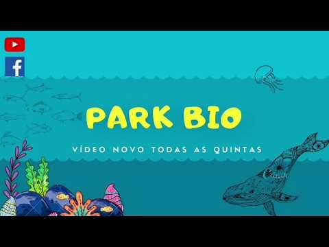 Thumbnail da aula: [EDIT 2] [UNICAMP 2007]