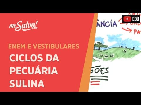 Thumbnail da aula: Ciclos da Pecuária Sulina - História UFRGS - Me Salva!