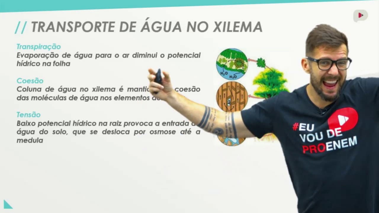 Thumbnail: Água, sais minerais e vitaminas I Biologia I Prof. Bruno Pires