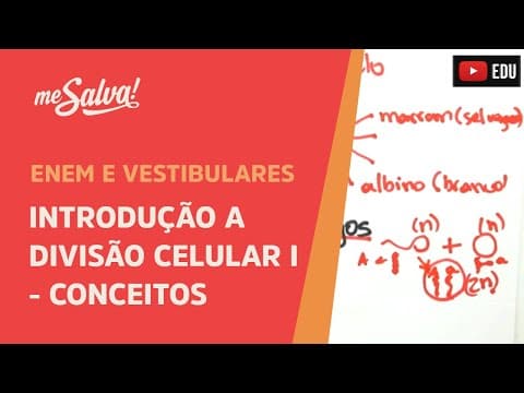 Thumbnail da aula: Me Salva! CIT23 - Citologia - Introdução a divisão celular 1 - Conceitos