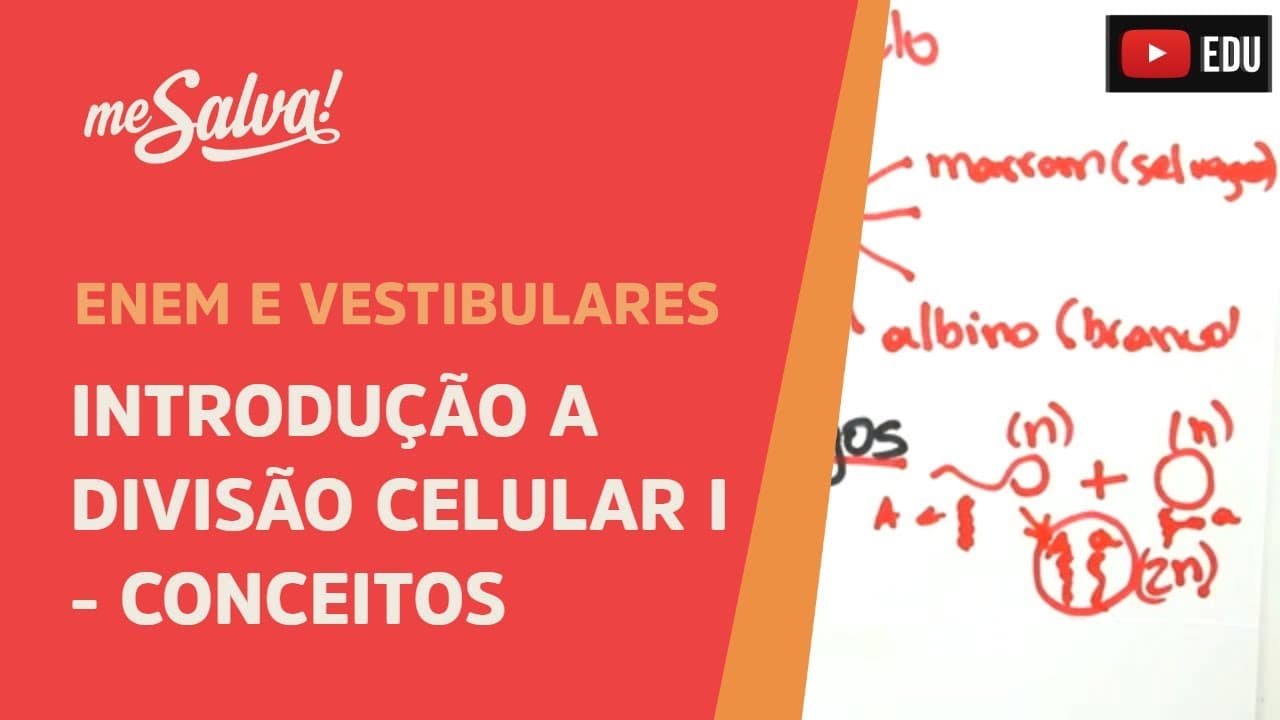Thumbnail: Me Salva! CIT23 - Citologia - Introdução a divisão celular 1 - Conceitos