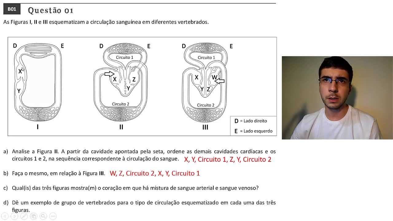 Thumbnail: Fuvest 2014 - 2ª Fase - Prova de Biologia