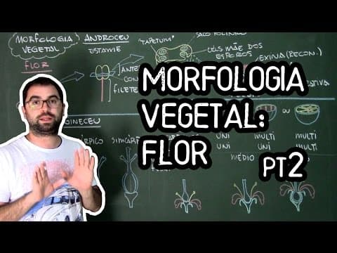 Thumbnail da aula: Organologia da Flor (Morfologia) pt2 - Aula 19: Botânica (Prof. Guilherme)