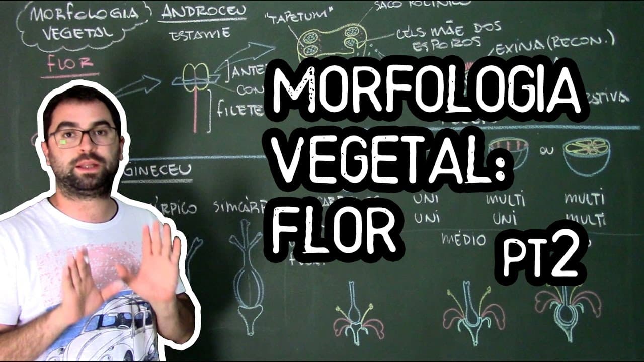 Thumbnail: Organologia da Flor (Morfologia) pt2 - Aula 19: Botânica (Prof. Guilherme)