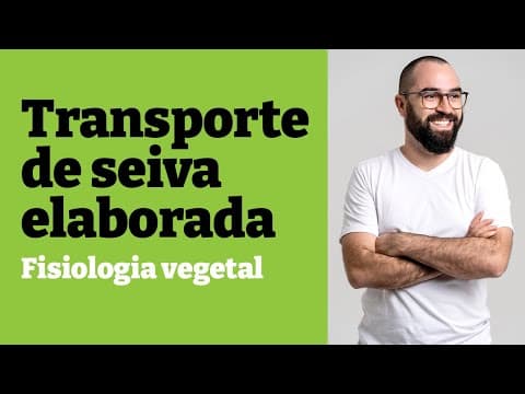 Thumbnail da aula: Transporte de seiva elaborada [ENTENDA!] | Fisiologia vegetal - Aula 26 - Botânica | Prof. Gui