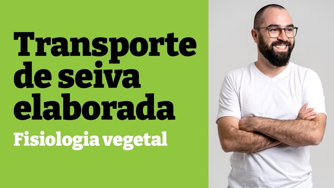 Thumbnail: Transporte de seiva elaborada [ENTENDA!] | Fisiologia vegetal - Aula 26 - Botânica | Prof. Gui