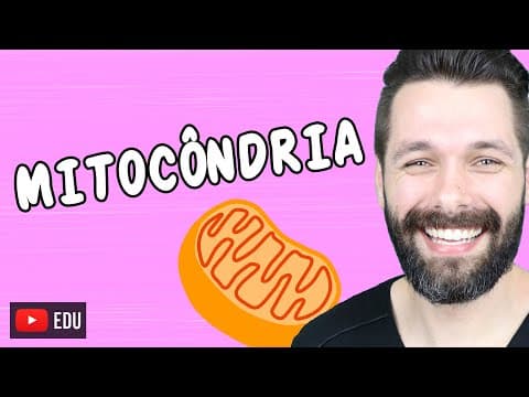 Thumbnail da aula: MITOCÔNDRIAS - ESTRUTURA E FUNÇÃO | Biologia com Samuel Cunha