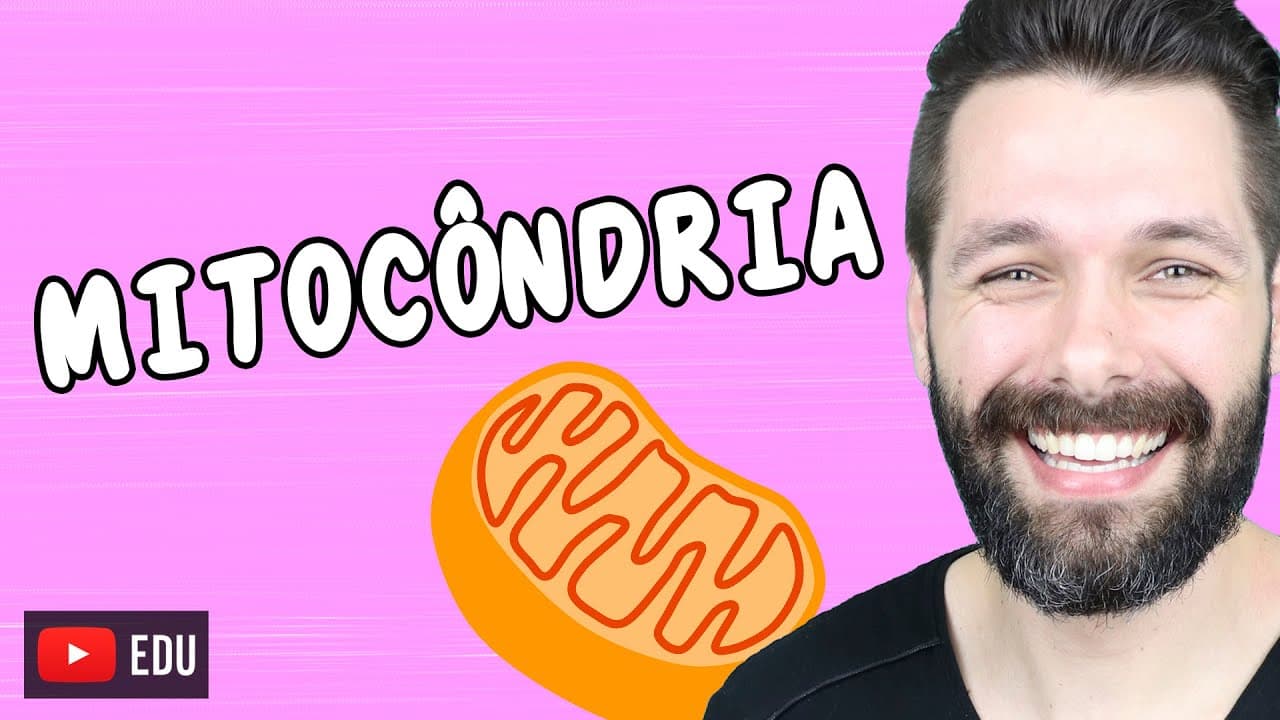 Thumbnail: MITOCÔNDRIAS - ESTRUTURA E FUNÇÃO | Biologia com Samuel Cunha