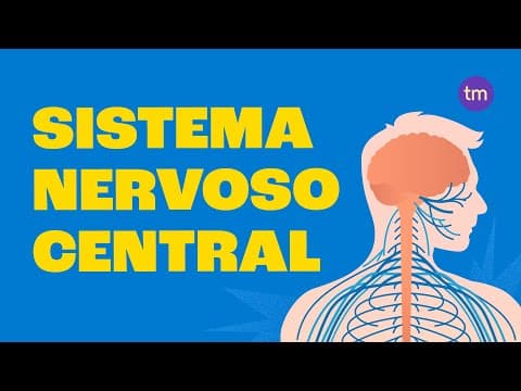 Thumbnail da aula: Como funciona o Sistema Nervoso Central?