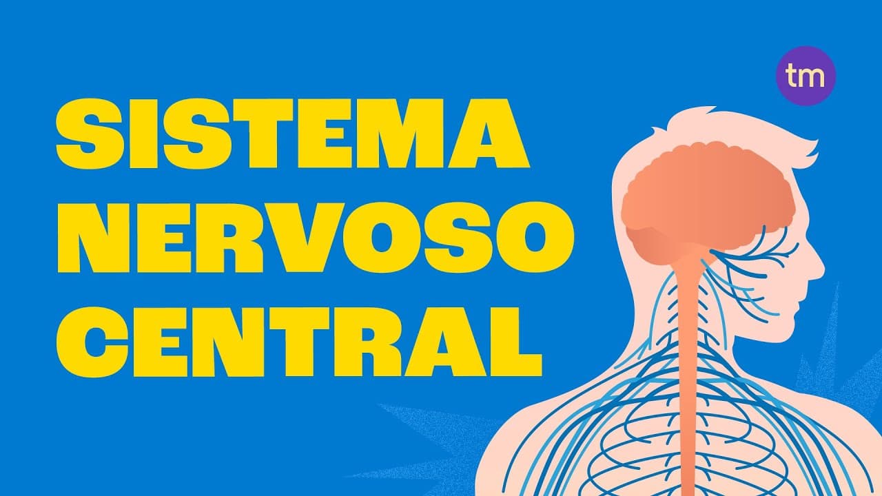 Thumbnail: Como funciona o Sistema Nervoso Central?