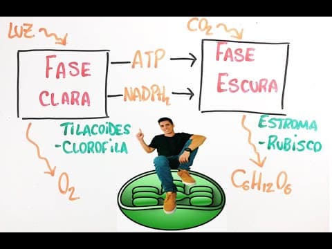 Thumbnail da aula: Fotossíntese - Resumo Professor Gustavo Schmidt