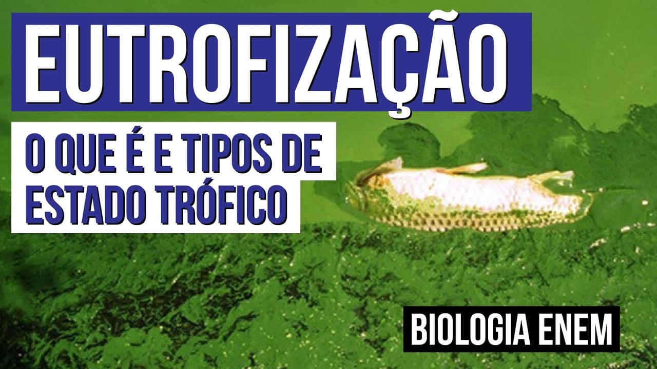 Thumbnail: EUTROFIZAÇÃO: o que é e tipos de estado trófico | Biologia para o Enem | Cláudia de Souza Aguiar