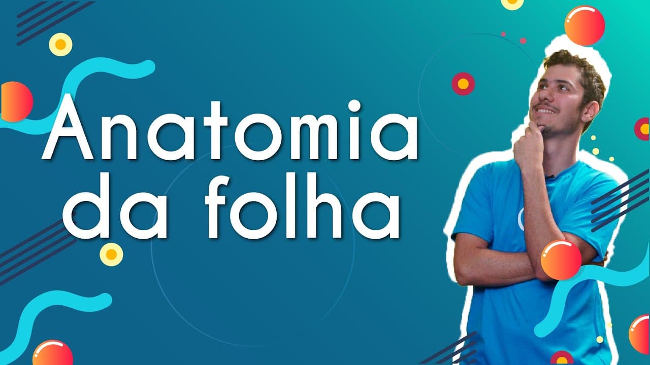 Thumbnail: Anatomia da folha - Brasil Escola