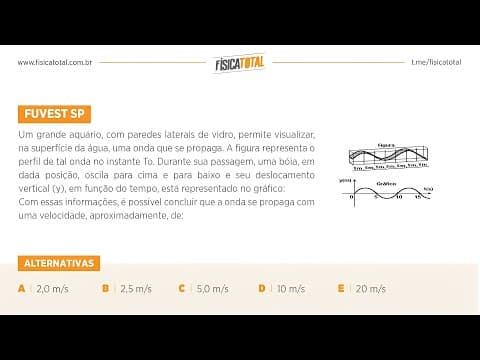 Thumbnail da aula: Lista 01 EXEMPLO 20 Propagação de Ondas | Análise Gráfica