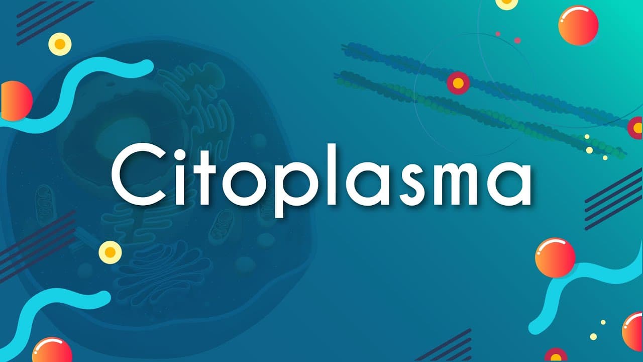 Thumbnail: Citoplasma - Brasil Escola