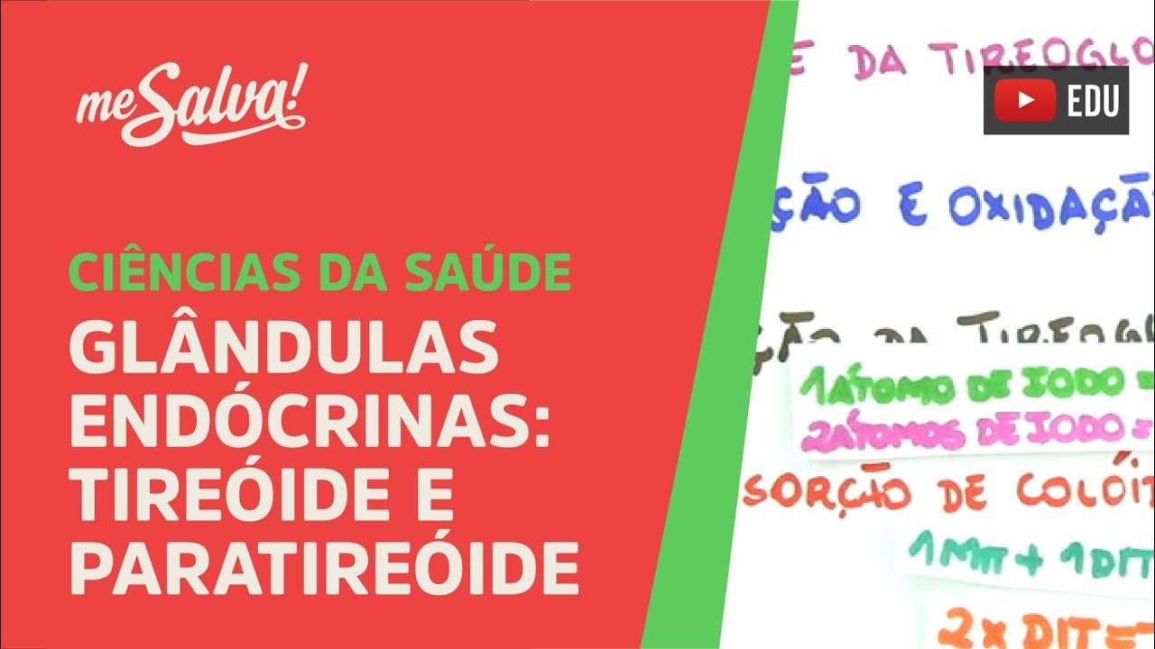 Thumbnail: Me Salva! GEP13 - Glândulas Endócrinas: Tireóide e Paratireóide - Histologia Humana