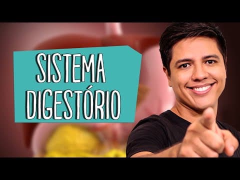 Thumbnail da aula: SISTEMA DIGESTÓRIO - Anatomia e Fisiologia - Prof. Kennedy Ramos