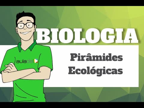 Thumbnail da aula: Biologia - Ecologia: Pirâmides Ecológicas