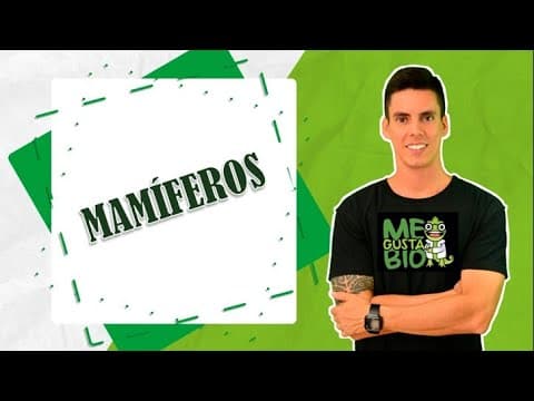 Thumbnail da aula: MAMÍFEROS - PROFESSOR GUSTAVO