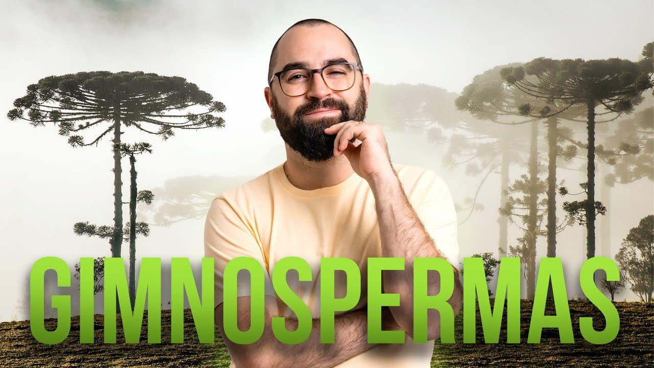 Thumbnail: Gimnospermas - Aula 04 - Módulo 5: Botânica