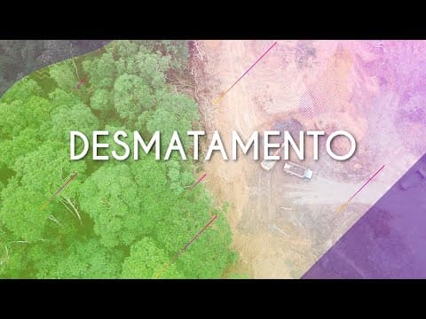 Thumbnail da aula: DESMATAMENTO - Brasil Escola