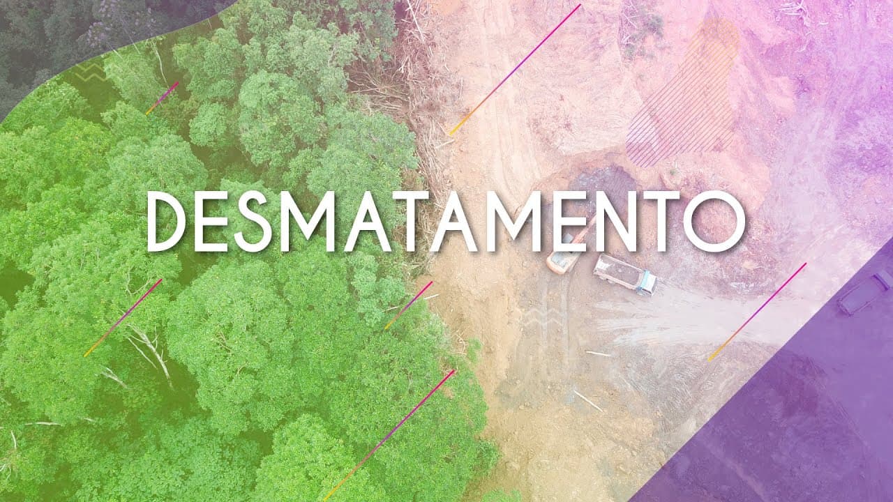 Thumbnail: DESMATAMENTO - Brasil Escola