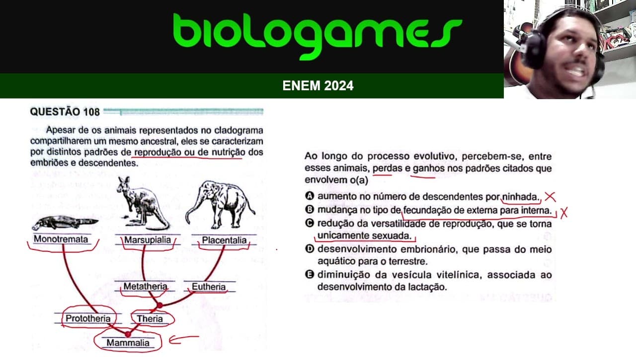 Thumbnail: ENEM 2024 - PROVA VERDE - Questão 108