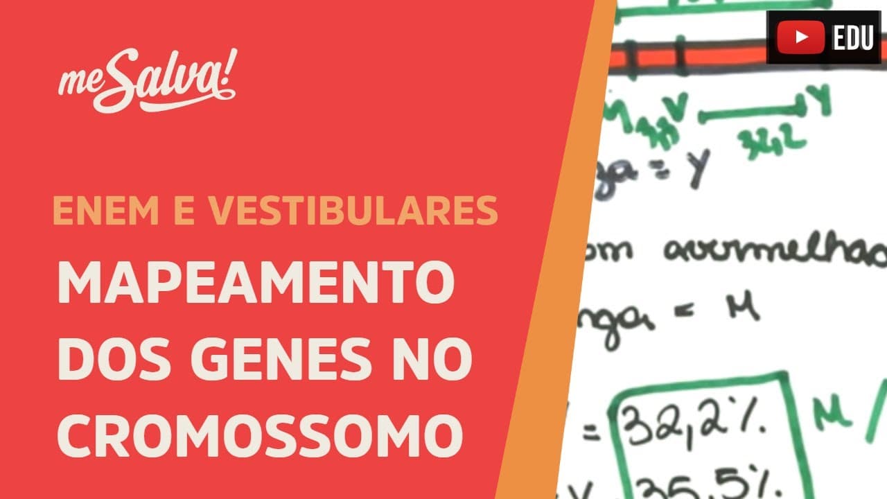 Thumbnail: Me Salva! GEN30 - Genética - Mapeamento dos genes no cromossomo