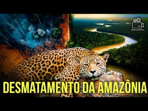 Thumbnail da aula: E se o DESMATAMENTO DA AMAZÔNIA cair no ENEM 2025?