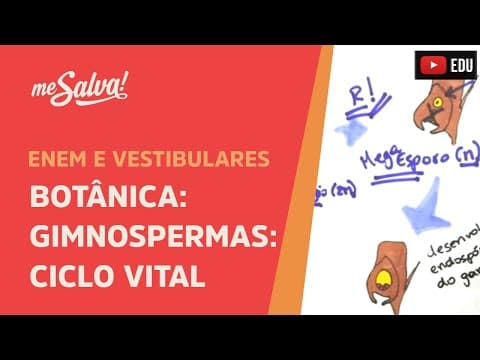 Thumbnail da aula: Me Salva! BOT08 - Botânica - Gimnospermas: Ciclo Vital