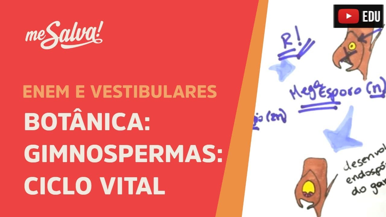 Thumbnail: Me Salva! BOT08 - Botânica - Gimnospermas: Ciclo Vital