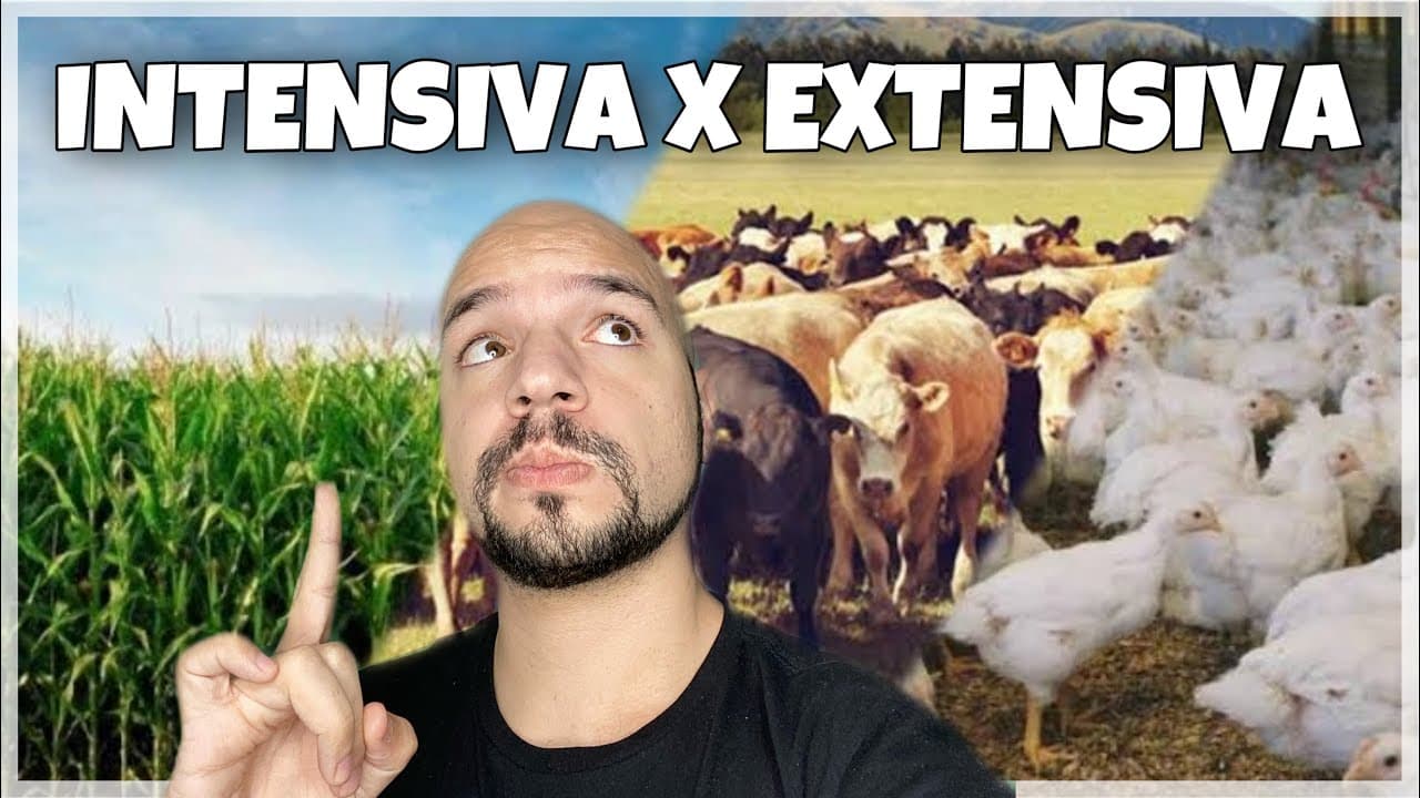 Thumbnail: Agropecuária Intensiva x Extensiva | Ricardo Marcílio