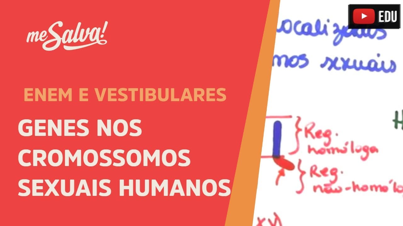 Thumbnail: Me Salva! GEN17 - Genética -  Genes localizados nos cromossomos sexuais humanos