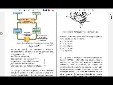 Thumbnail da aula: Resolução comentada | Unesp | Biologia | sistema nervoso