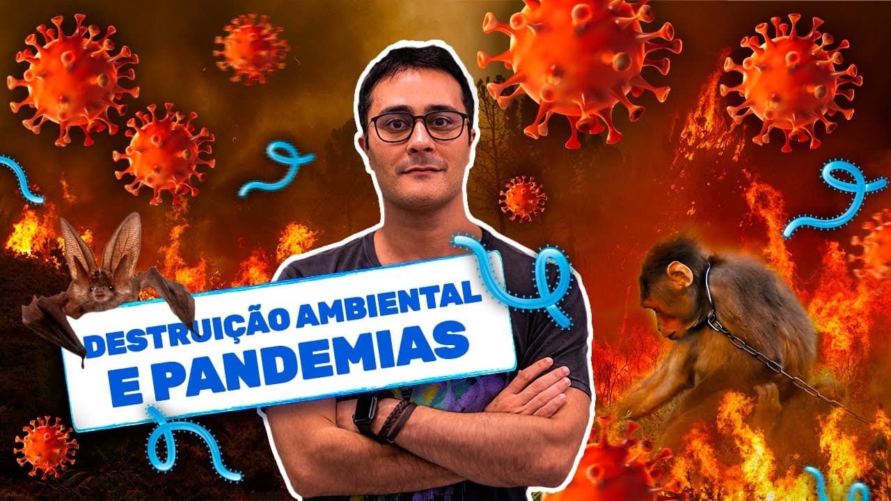 Thumbnail: Destruição Ambiental e Pandemias | Atualidades