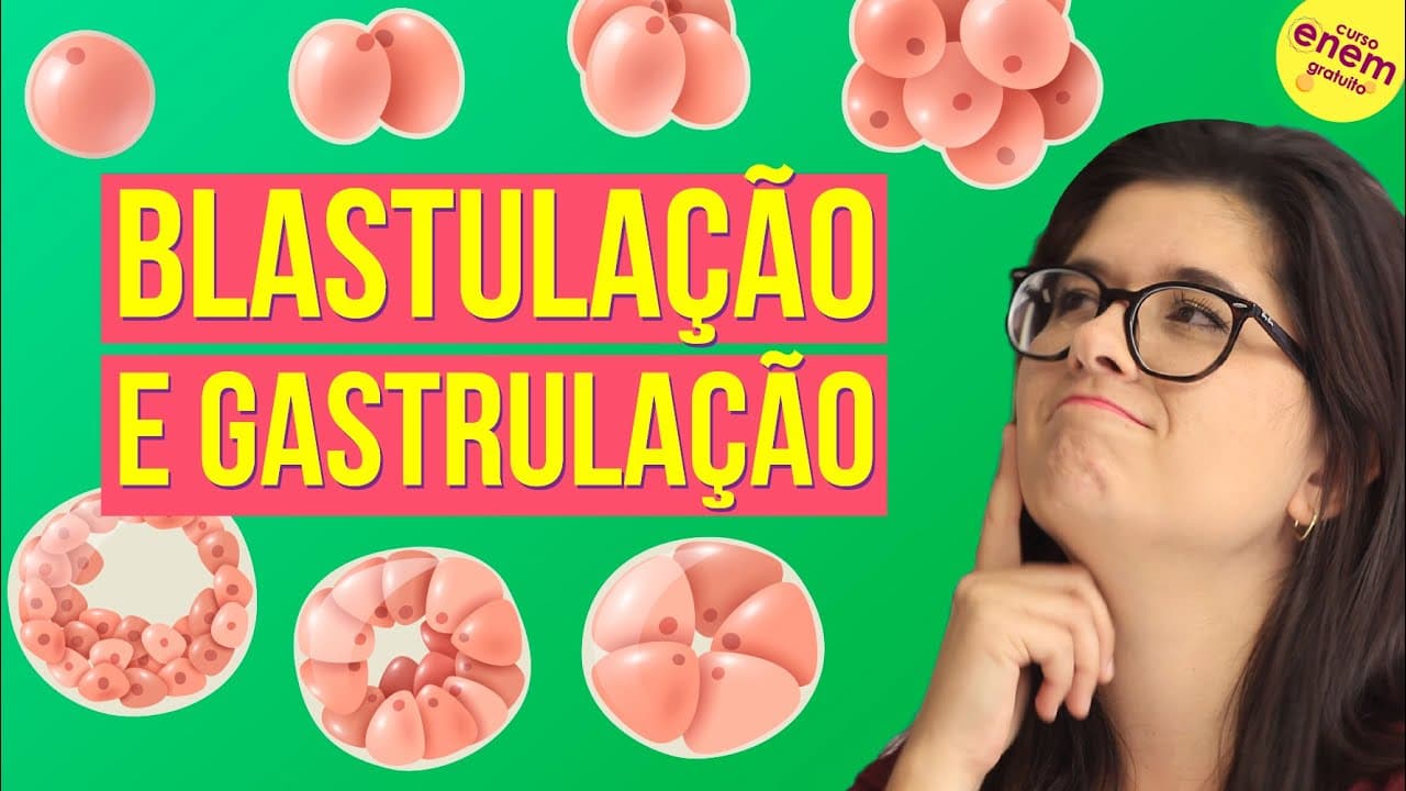 Thumbnail: EMBRIOLOGIA: BLASTULAÇÃO E GASTRULAÇÃO | Resumo de Biologia para o Enem