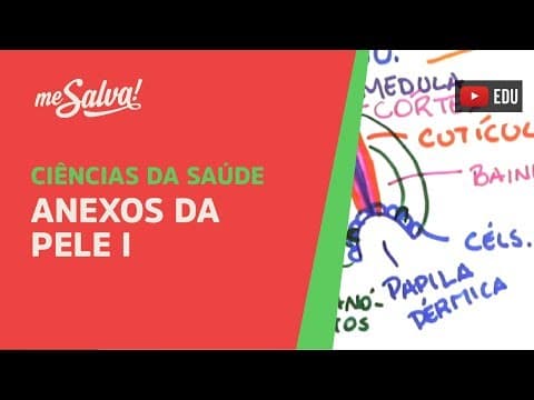 Thumbnail da aula: Me Salva! GEP04 - Anexos da Pele I - Histologia Humana