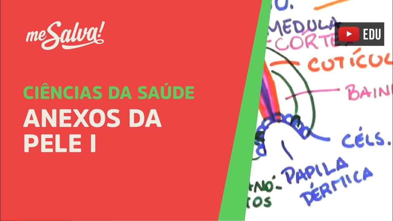 Thumbnail: Me Salva! GEP04 - Anexos da Pele I - Histologia Humana