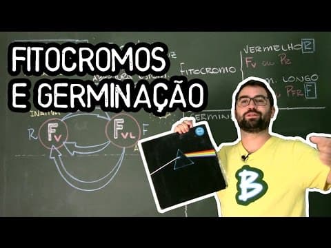 Thumbnail da aula: Fitocromos e Germinação - Fisiologia Vegetal - Aula 32: Botânica (Prof. Guilherme)
