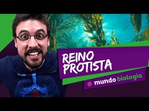Thumbnail da aula: 🦠 Microbiologia (3/5): Reino Protista - Biologia - ENEM