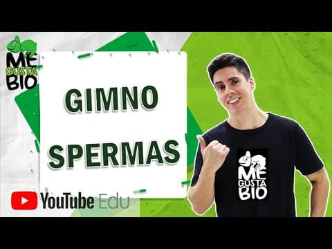 Thumbnail da aula: Gimnospermas | Me Gusta Bio com professor Gustavo Schmidt