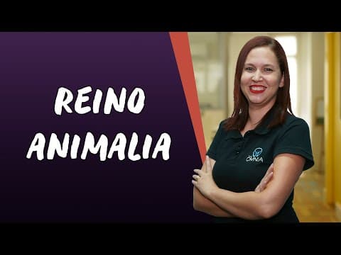 Thumbnail da aula: Reino Animalia - Brasil Escola