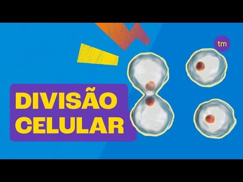 Thumbnail da aula: Entenda a DIVISÃO CELULAR | Mitose e Meiose