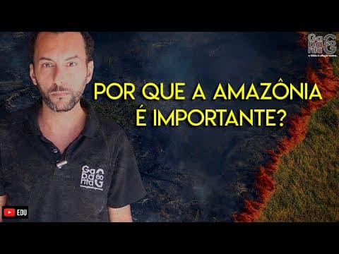 Thumbnail da aula: Entenda o desmatamento da Amazônia |Amazônia Pulmão do Mundo | Fake News Amazônia