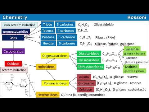 Thumbnail da aula: UFRGS 2013 Química - Questão 41 - Bioquímica - Carboidratos, ácidos graxos e proteínas