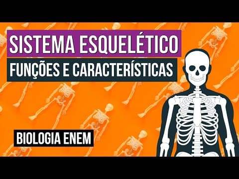 Thumbnail da aula: SISTEMA ESQUELÉTICO: funções e características | Biologia para o Enem | Cláudia de Souza Aguiar