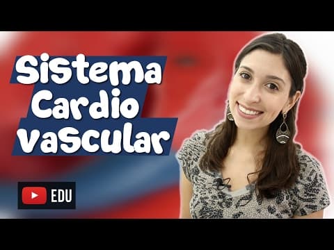 Thumbnail da aula: INTRODUÇÃO AO SISTEMA CARDIOVASCULAR - Ensino Superior - BIOEXPLICA